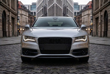 Griglia Nido Ape RS-Look Audi