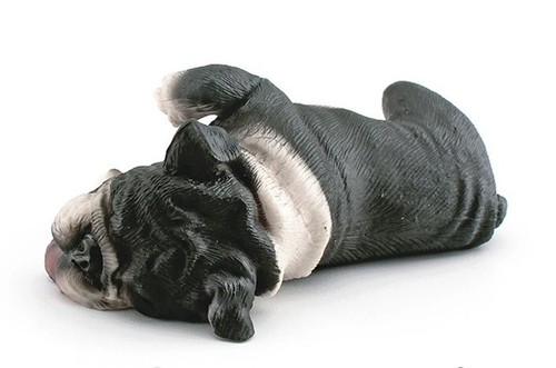 Bulldog francese nero cane