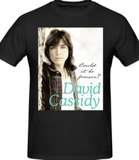David Cassidy Could it be