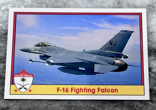 1991 pacific operation - 1991, desert
