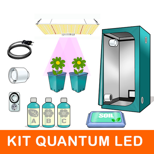 Kit grow box - kit, quantum