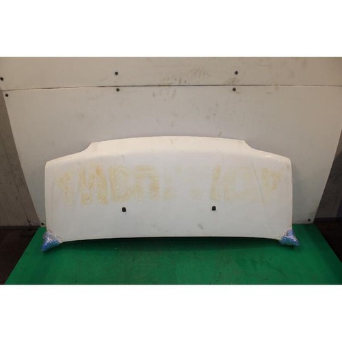 Cofano ant fiat ducato - fiat,