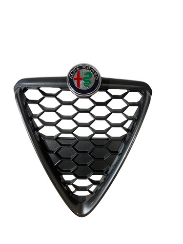Griglia radiatore alfa - radiatore,