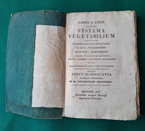 Linneo systema vegetabilium - systema,