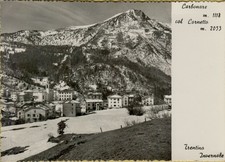 301694 CARTOLINA DI CARBONARE