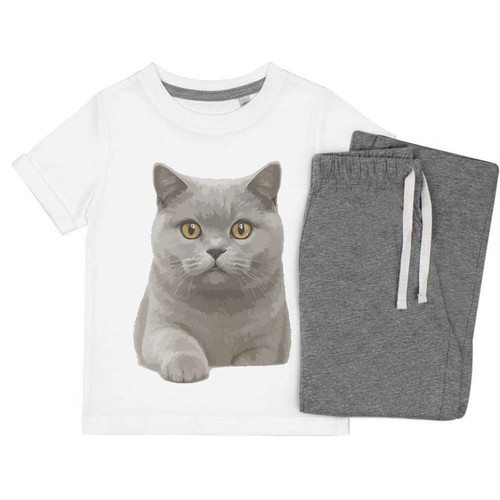British shorthair cat set di - cat',