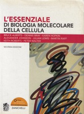 L essenziale di - aa., vv...l'essenziale