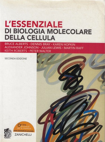 L essenziale di - aa., vv...l'essenziale
