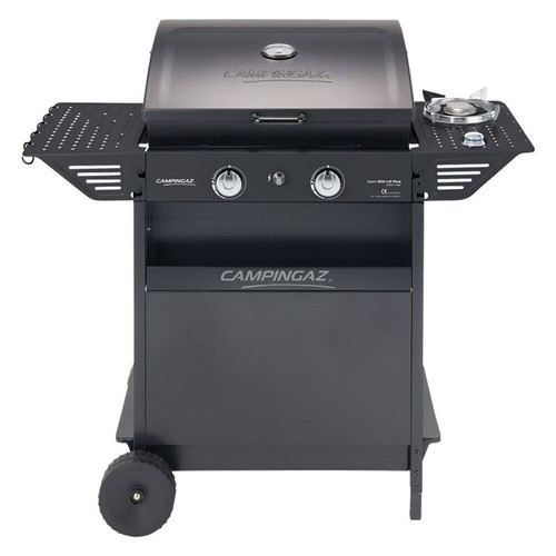Barbecue gas fuochi con - barbecue, 2