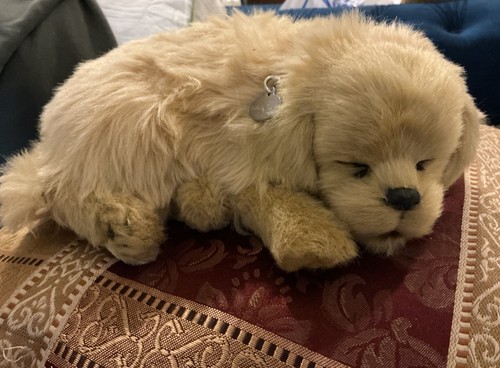 Petzzz golden retriever - golden,