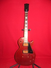 Corpo e collo Gibson 2010 USA