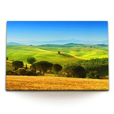Quadro tela 120x80 cm - quadro,