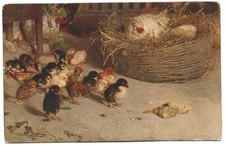 Antica Cartolina ILLUSTRATA: POLLAIO PULCINI E GALLINA - PRIMAVERA, NATURA