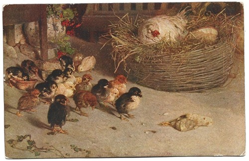 Antica cartolina illustrata - antica,