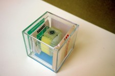 Swatch Square - nuovo in