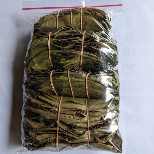 Foglie soursop foglia di - foglia,
