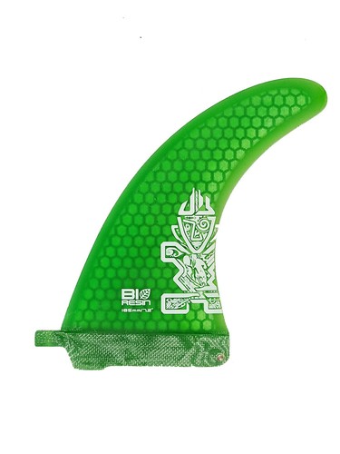 Pinna dritta bio - pinna,