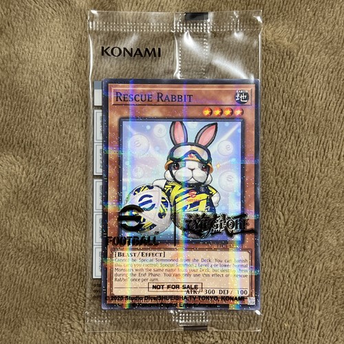 Rescue rabbit neymar - rabbit, 2025
