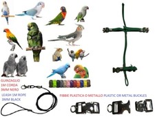 Pettorina pappagalli VERDE 2