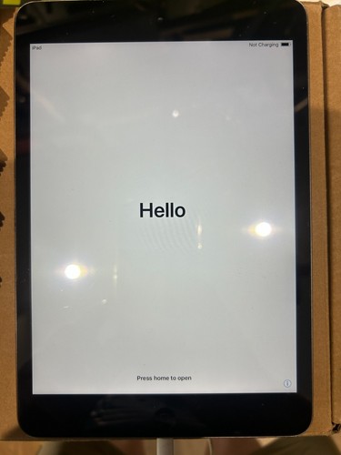 Apple ipad mini wi fi - 2, gb
