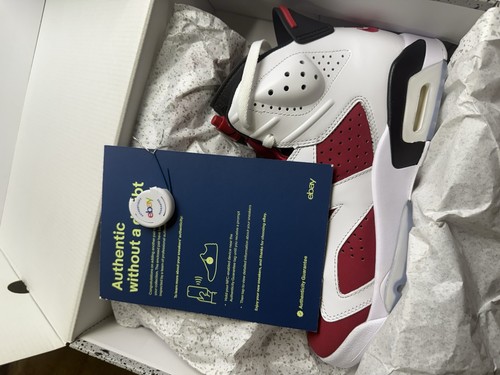Nike air jordan retro - 6,
