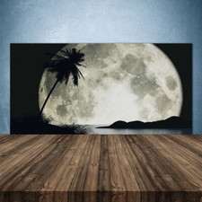 Paraschizzi da Cucina 140x70