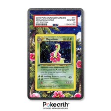Meganium 11/111 - Case con