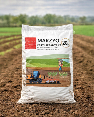 Marzyo farina basalto - farina, di