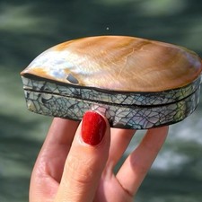 Piccolo Scrigno Valva Ostrica Perlifera Vintage Porta Gioie 