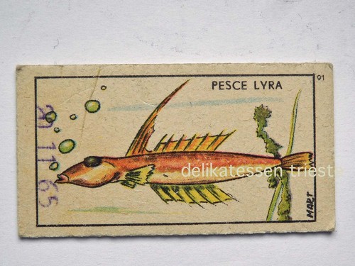 Peso bilancia vecchio - peso,