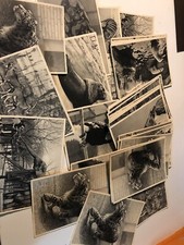 52 Cartoline Vintage Biaco E