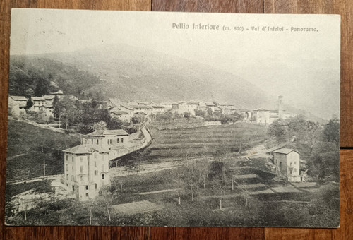 1920 pellio inferiore - 1920,