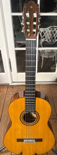 Chitarra acustica classica