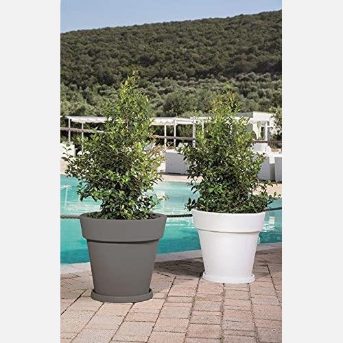 Vaso monacis gemma - vaso,