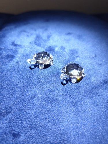 Tartarughe bambino cristallo - tartarughe,