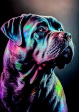 Cane Corso Dogo Canario Pitbull HD Decorazione Vintage POSTER / MAGNETE /STICKER