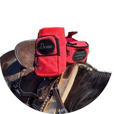 Personalized Horse Saddle Pink
