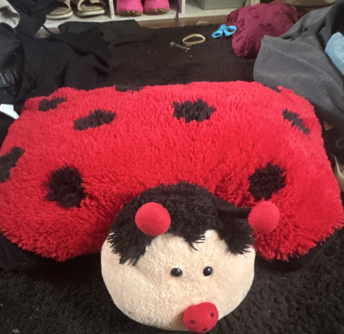 Cuscino animali coccinella - cuscino,