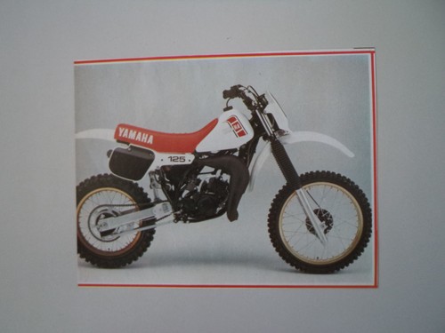 Ritaglio giornale anno - giornale,