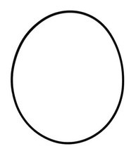 GUARNIZIONE TESTA ( TESTA )