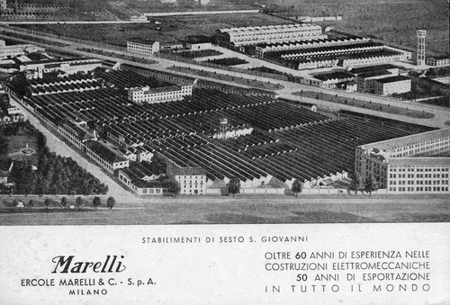 Azione vera firmata ercole - firmata,