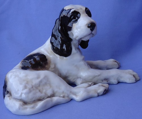 Welsh english springer - springer, spaniel