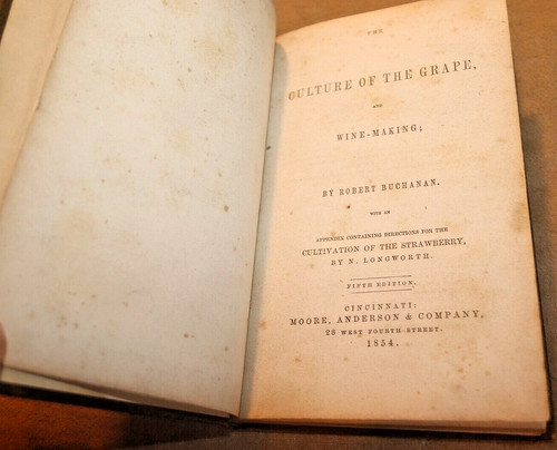 1854 the culture - 1854,
