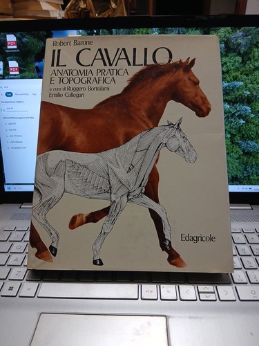 Cavallo anatomia pratica - cavallo,