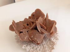 Rosa del deserto - rosa,