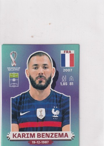 Panini qatar world cup sticker - panini,