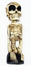 Scheletro Figura IN Piedi