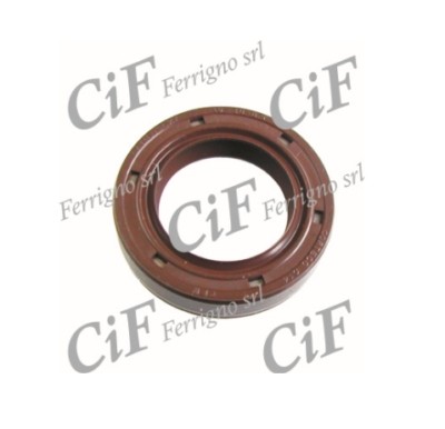 5937 paraolio 19x30x6 - 5937-v,