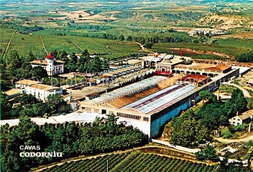 Cavas codorniu ripresa aerea - cavas,