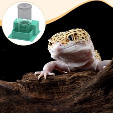 Ciotola Automatica Per Rettili